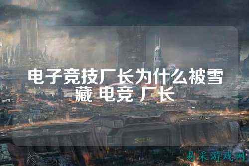 电子竞技厂长为什么被雪藏 电竞 厂长