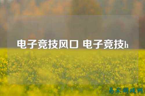 电子竞技风口 电子竞技h
