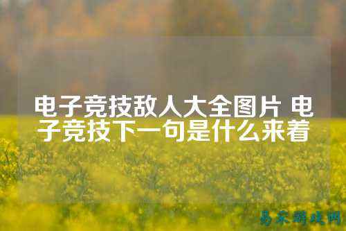 电子竞技敌人大全图片 电子竞技下一句是什么来着