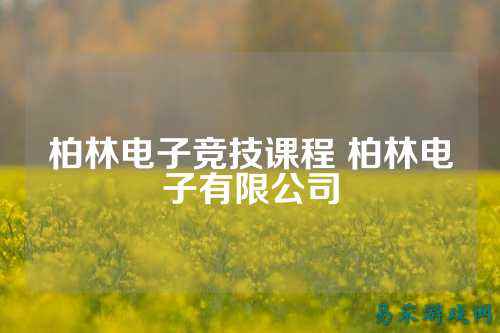 柏林电子竞技课程 柏林电子有限公司