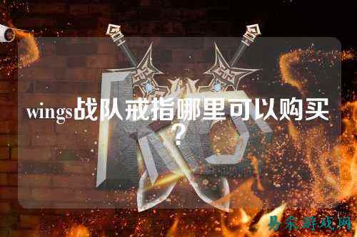 wings战队戒指哪里可以购买？