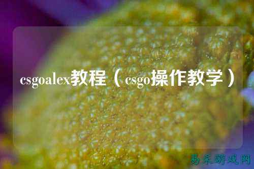 csgoalex教程(csgo操作教学)