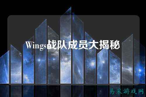 Wings战队成员大揭秘