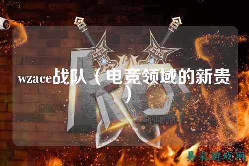 wzace战队（电竞领域的新贵）
