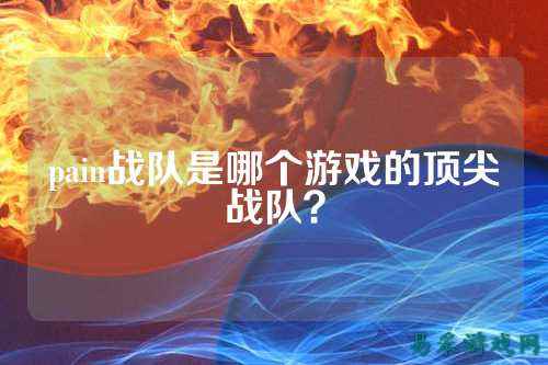 pain战队是哪个游戏的顶尖战队？