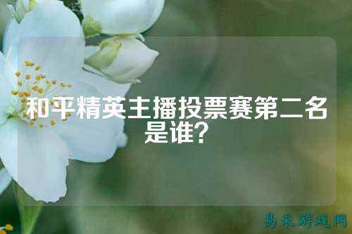 和平精英主播投票赛第二名是谁?
