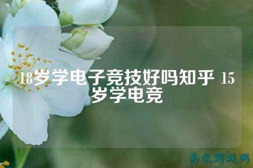 18岁学电子竞技好吗知乎 15岁学电竞