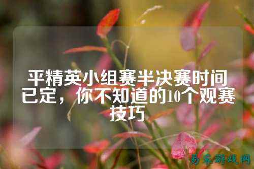 平精英小组赛半决赛时间已定,你不知道的10个观赛技巧