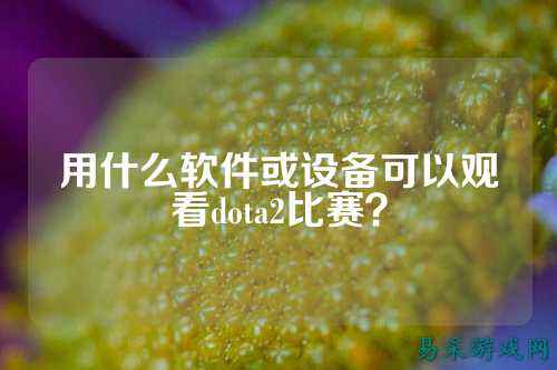 用什么软件或设备可以观看dota2比赛?
