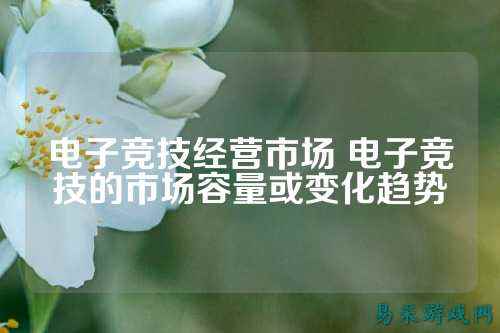 电子竞技经营市场 电子竞技的市场容量或变化趋势