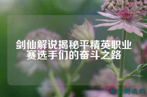 剑仙解说揭秘平精英职业赛选手们的奋斗之路