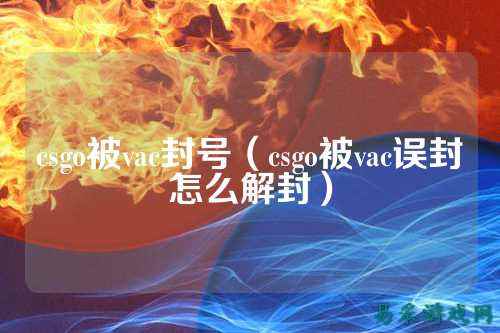 csgo被vac封号（csgo被vac误封怎么解封）