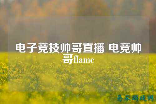 电子竞技帅哥直播 电竞帅哥flame