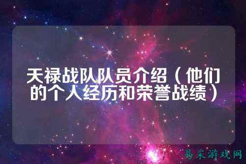 天禄战队队员介绍（他们的个人经历和荣誉战绩）