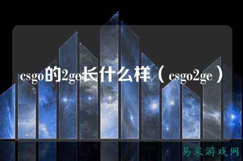 csgo的2ge长什么样(csgo2ge)