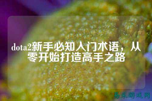 dota2新手必知入门术语,从零开始打造高手之路