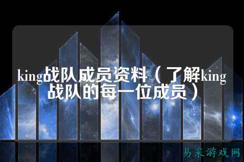 king战队成员资料（了解king战队的每一位成员）