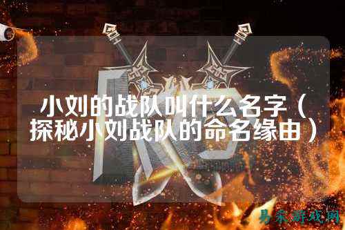 小刘的战队叫什么名字（探秘小刘战队的命名缘由）