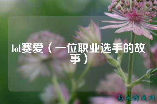 lol赛爱（一位职业选手的故事）