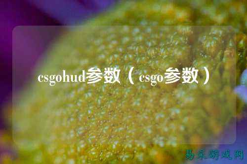 csgohud参数（csgo参数）