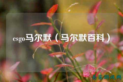 csgo马尔默(马尔默百科)
