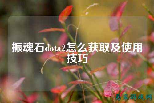 振魂石dota2怎么获取及使用技巧
