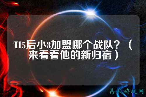 TI5后小8加盟哪个战队？（来看看他的新归宿）
