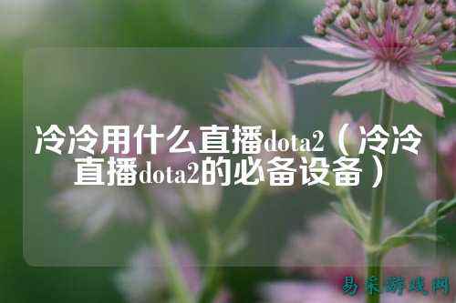 冷冷用什么直播dota2(冷冷直播dota2的必备设备)