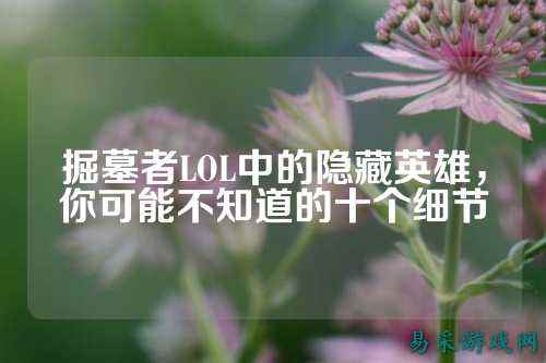 掘墓者LOL中的隐藏英雄,你可能不知道的十个细节