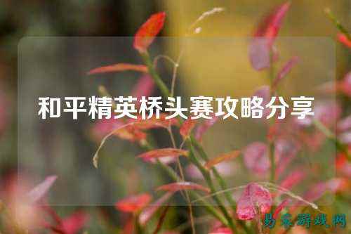 和平精英桥头赛攻略分享