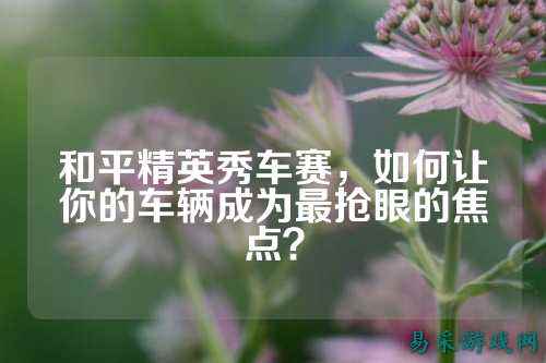 和平精英秀车赛,如何让你的车辆成为最抢眼的焦点?