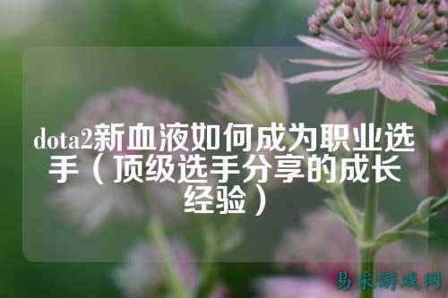 dota2新血液如何成为职业选手（顶级选手分享的成长经验）
