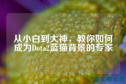 从小白到大神，教你如何成为Dota2蓝猫背景的专家