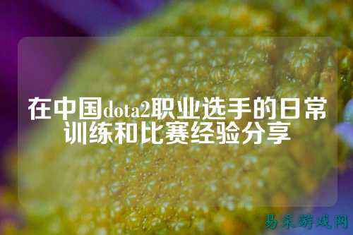 在中国dota2职业选手的日常训练和比赛经验分享