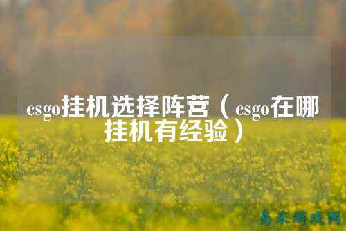 csgo挂机选择阵营(csgo在哪挂机有经验)