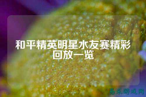 和平精英明星水友赛精彩回放一览