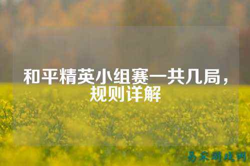 和平精英小组赛一共几局,规则详解
