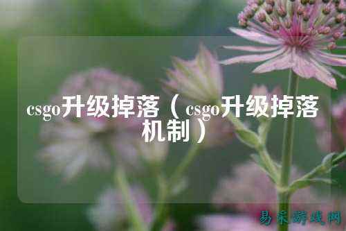 csgo升级掉落(csgo升级掉落机制)