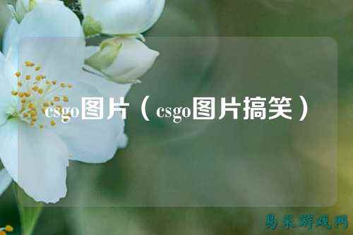 csgo图片(csgo图片搞笑)