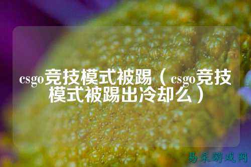 csgo竞技模式被踢(csgo竞技模式被踢出冷却么)