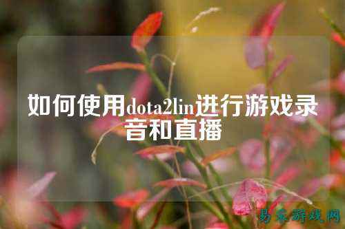 如何使用dota2lin进行游戏录音和直播