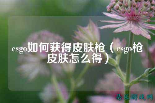 csgo如何获得皮肤枪(csgo枪皮肤怎么得)