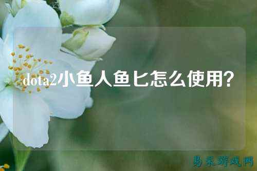 dota2小鱼人鱼匕怎么使用?