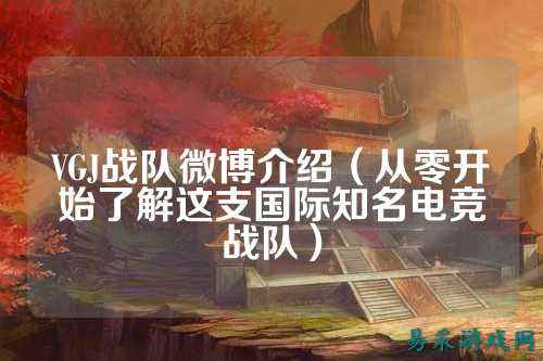 VGJ战队微博介绍（从零开始了解这支国际知名电竞战队）