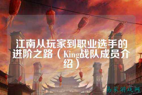 江南从玩家到职业选手的进阶之路（King战队成员介绍）