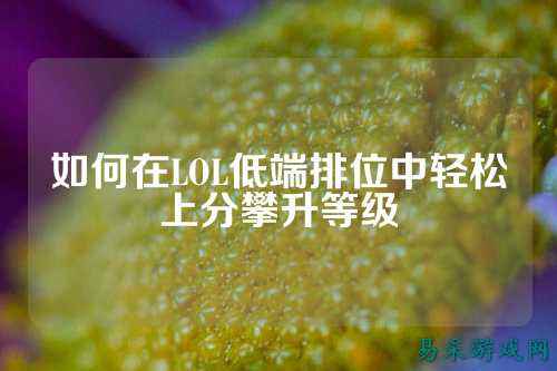 如何在LOL低端排位中轻松上分攀升等级