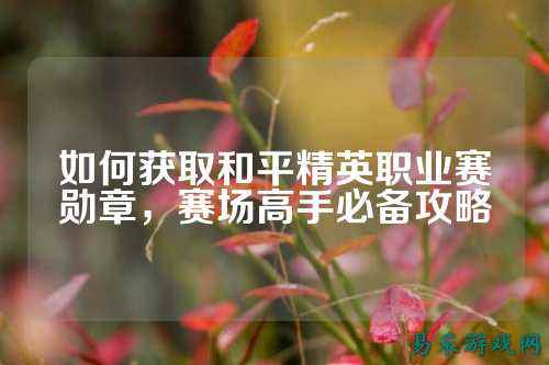 如何获取和平精英职业赛勋章,赛场高手必备攻略