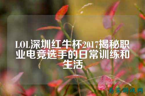 LOL深圳红牛杯2017揭秘职业电竞选手的日常训练和生活