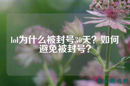 lol为什么被封号30天?如何避免被封号?