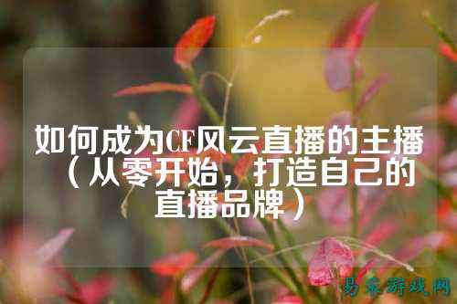如何成为CF风云直播的主播(从零开始,打造自己的直播品牌)